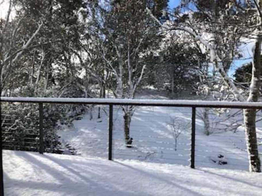 Narrow Neck Views - Peaceful 4 Bedroom Home With Stunning Views! Katoomba Extérieur photo